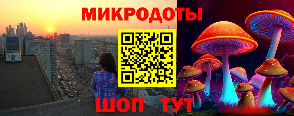 Томск  Галлюциногенные грибы мицелий  Вход с VPN 