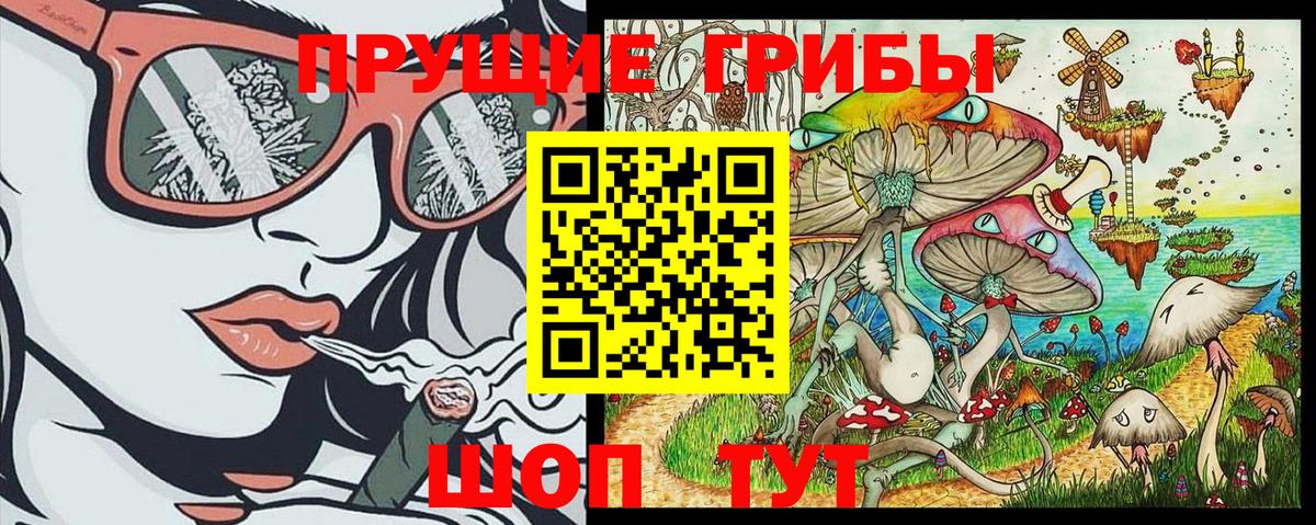 Галлюциногенные грибы GOLDEN TEACHER Томск